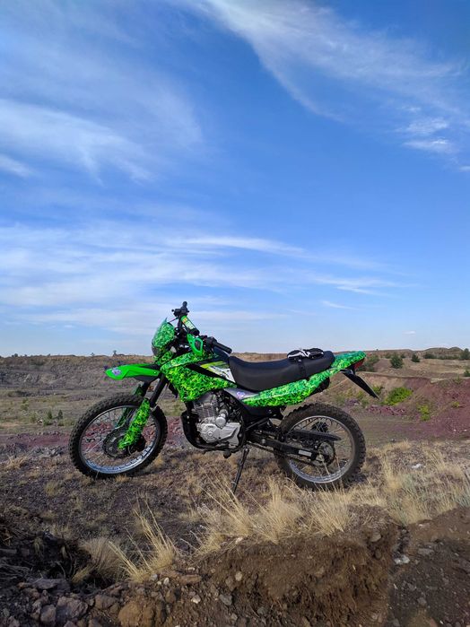 Racer Panther 2019