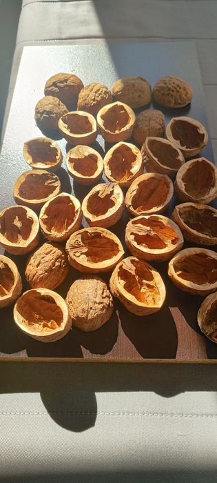 Черупка от едър орех за Handmade декорации