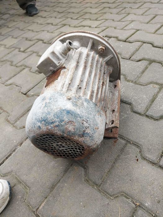 Motor trifazic cu fulie
