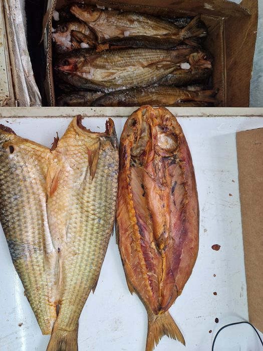 Кефаль  копчёный