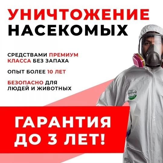 Дезинфекция от клопов дезинсекция dezinfeksiya dizinfeksiy klapa клоп