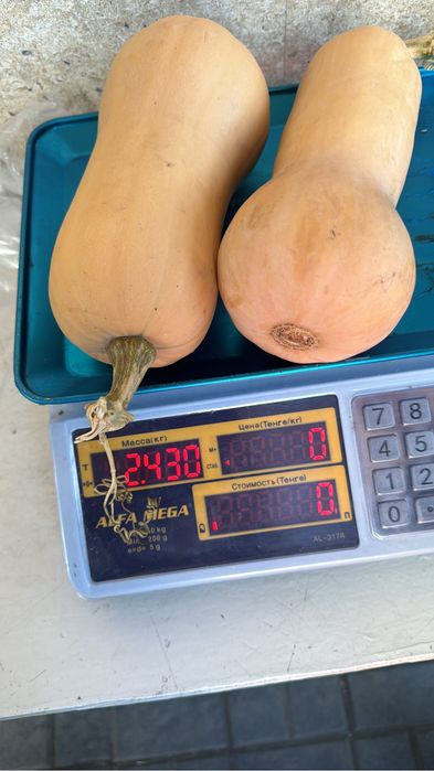 Продам перец,    тыкву