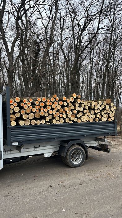 Pari de salcam, stâlpi de salcam