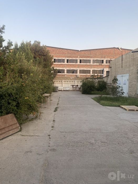 Arendaga beriladi kvadrati 34 ming so'm?