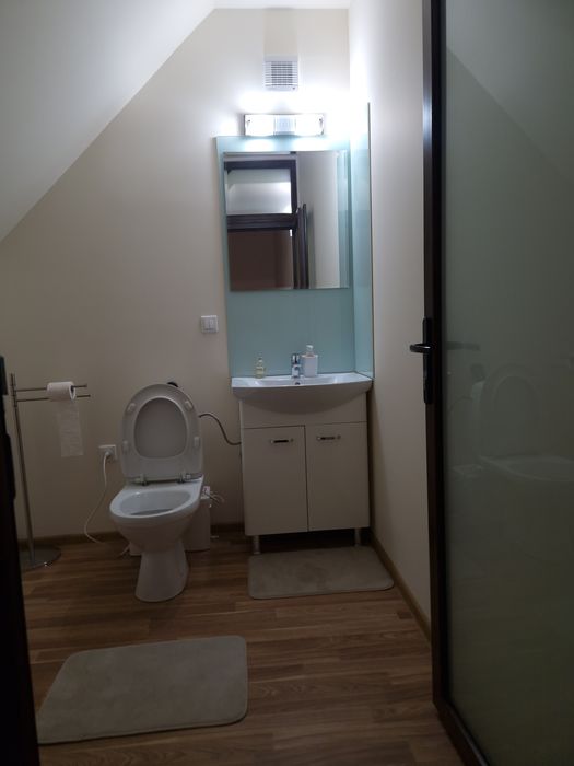 Penthouse Busteni