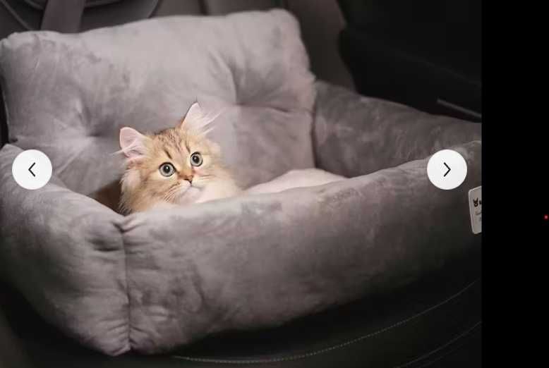 Scaun auto pisici/caini