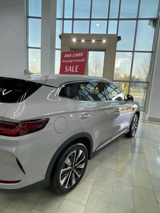 BYD chempion smart /ev