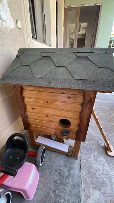 Uy hayvonlari uchun uy