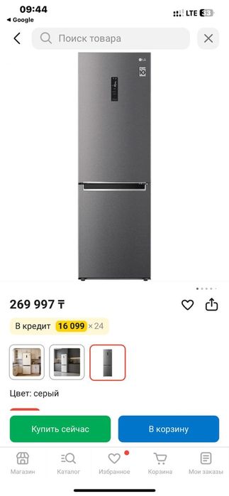 Бегонок. Велик. Холодильник