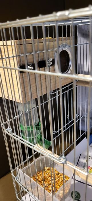 Продам домик для птицы