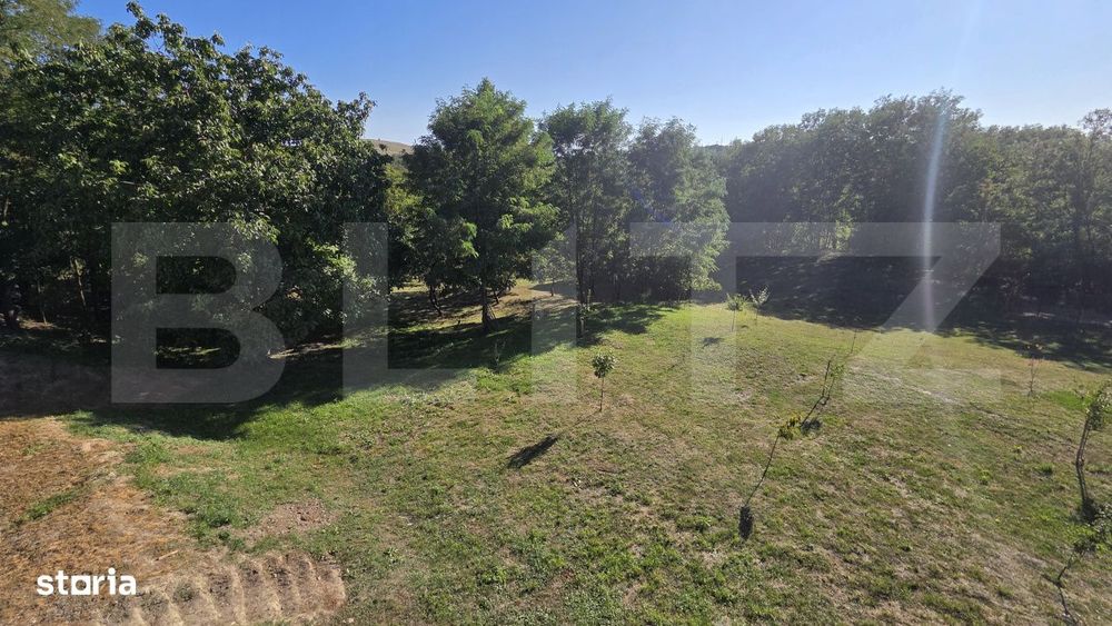Un colt de natura in Oarda | Casa cu peste 8.000 mp teren si livada