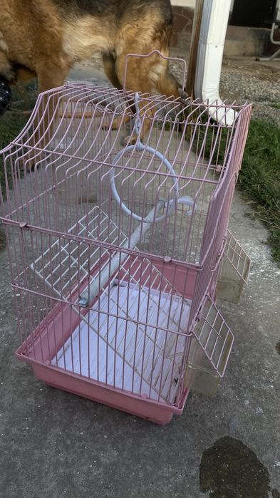 Сетка для птицы