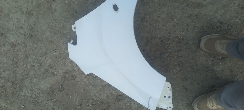 Radnoy Spark krel shafirskoy