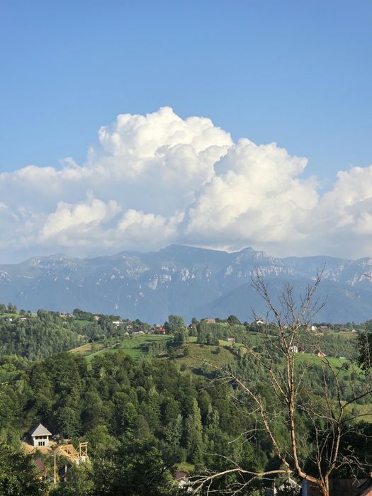 De Vânzare: Teren Panoramic de 12.009 mp la Drumul Principal în Măgura (Moeciu) – Ideal Complex Turistic / Pensiune / Cabane