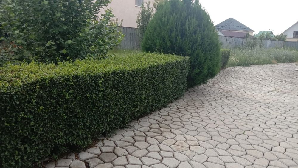 Срочно продам дом!