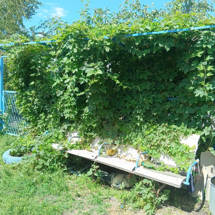Продам дом в п. Чкалово
