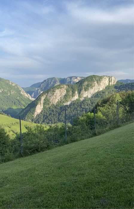 Cabana  A-frame Eagle Valley  de inchiriat ( Instagram )
