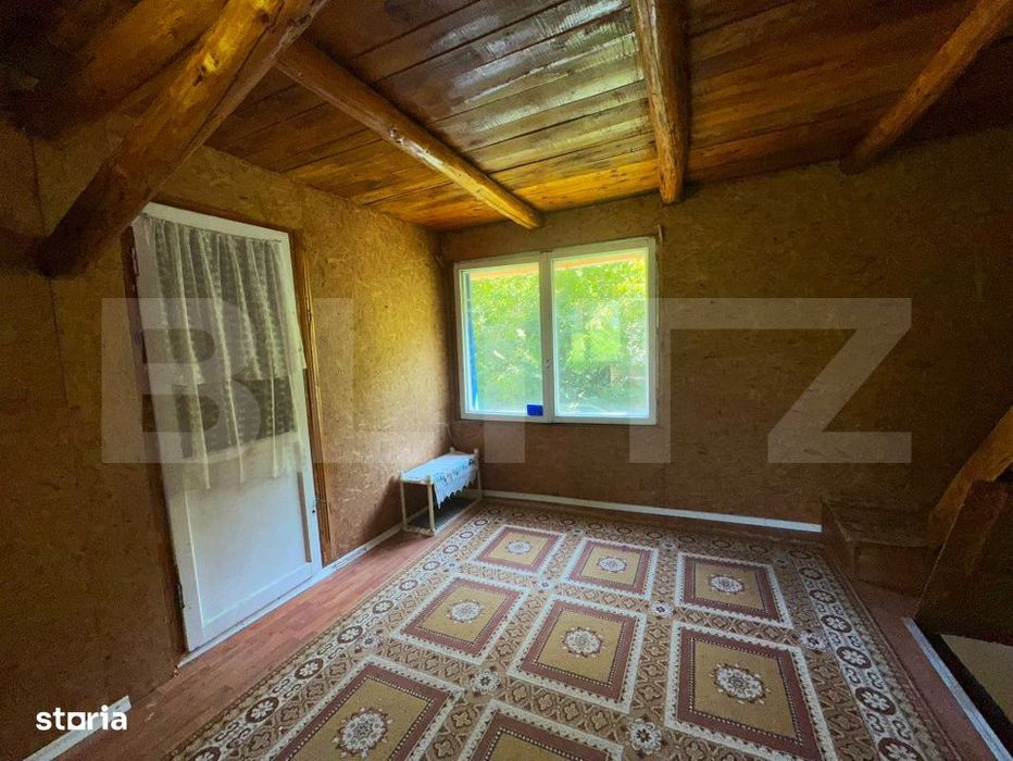 Oaza de liniste , cabana cu pescarie si natura
