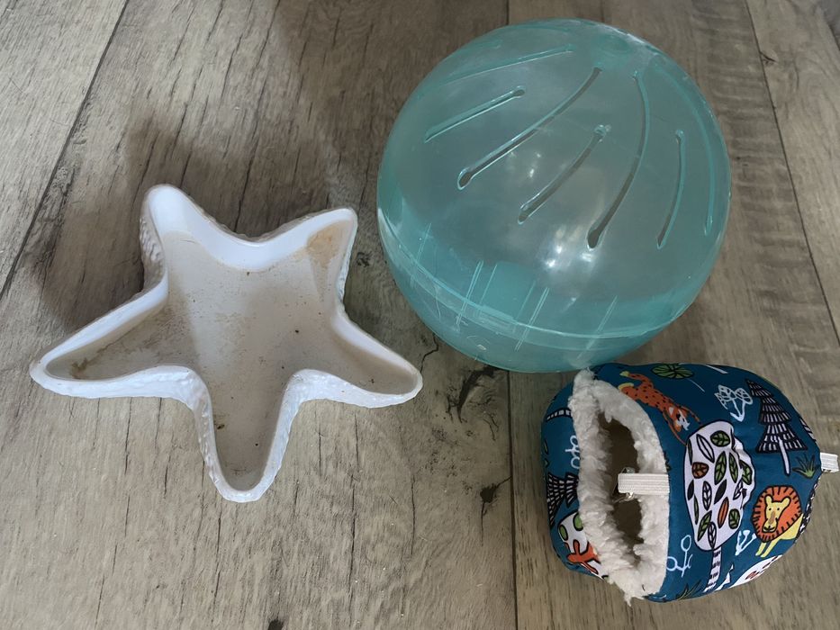 Для хомяков все по 500