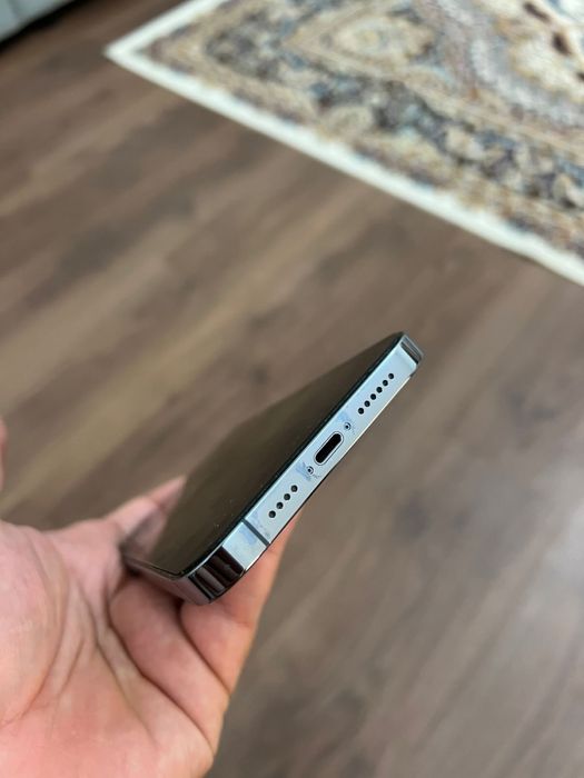 IPhone 13 Pro Max (512 gb)