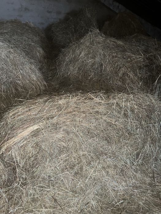 Сено рулон шоп. Шөп