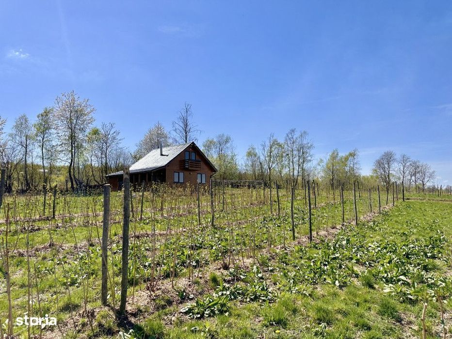 Teren Dangau Mare, casa, plantatii, lac, utilitati, 12.500 mp