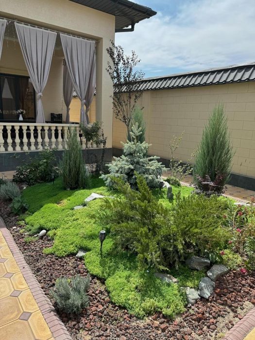 Газон,автополив,полив