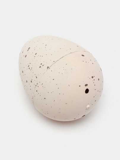 Инкубационные яйца динозавра для детей, 3+, образовательное