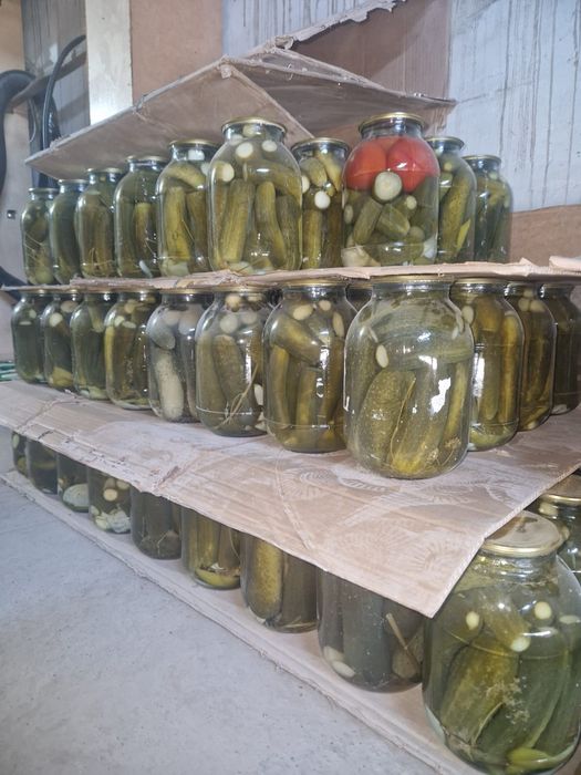 Банкилер бар дайын