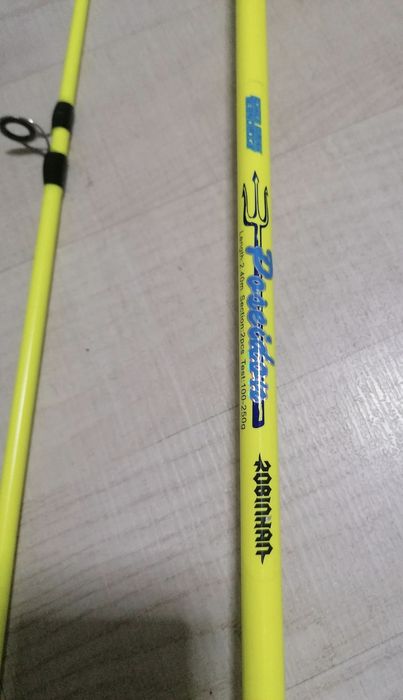 Lansete Dunăre ROBINHAN Poseidon acțiune 100-250gr.