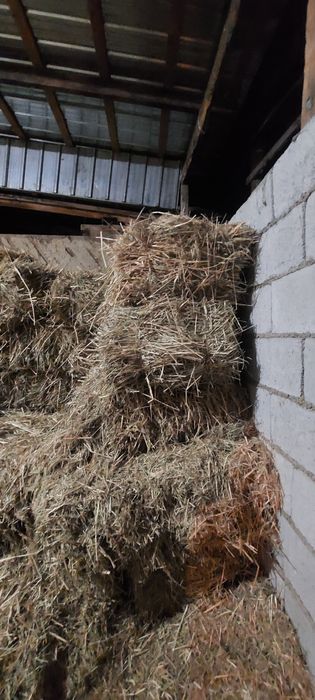 Сено в тюкаххххх
