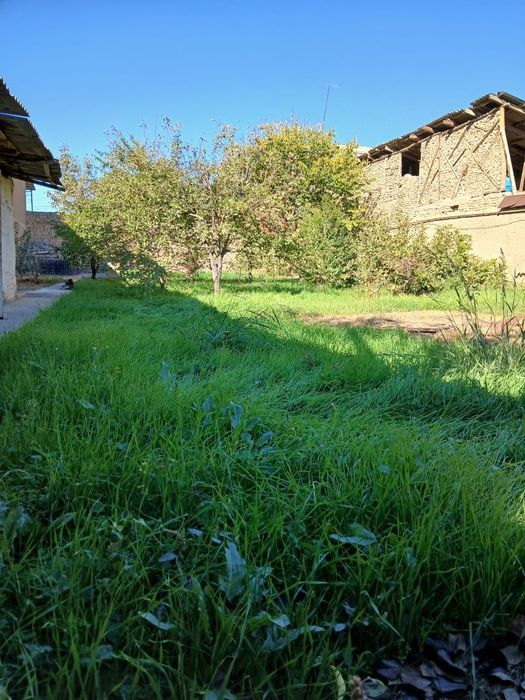 8 sutukli Uy sotiladi