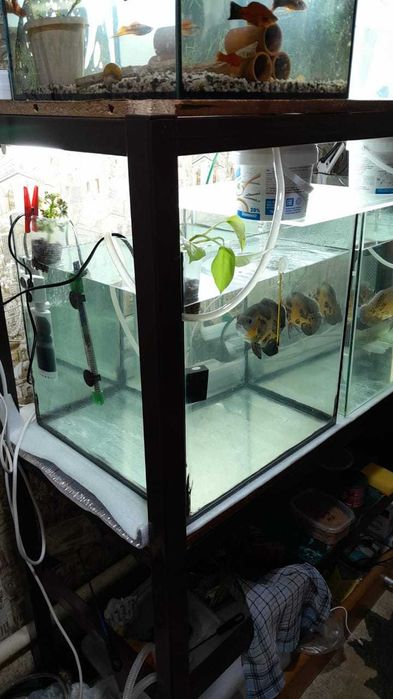 продажа аквариумов