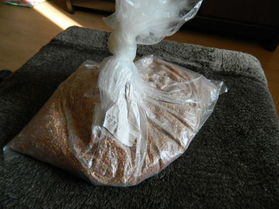 Продам красное  просо