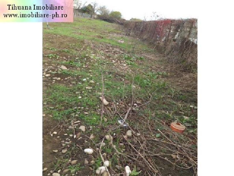 Teren de vanzare - Bereasca (vizavi Gama)