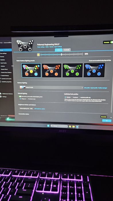 Volan simracing rally usb