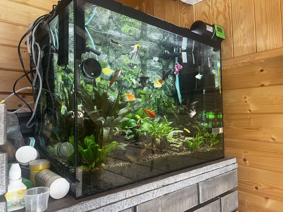 Vand acvariu 80 L complet