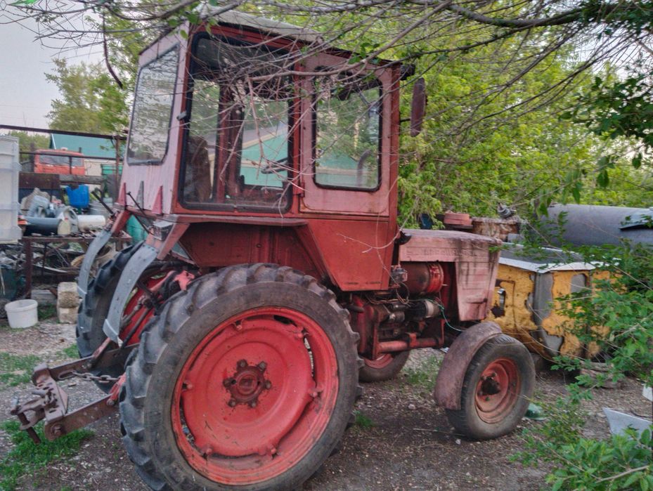 Трактор Т-25 продам