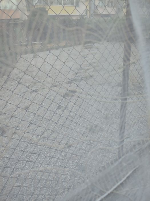 Завеси бели прозрачни 98х140см .2 броя