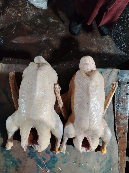 Продам мясо гуся