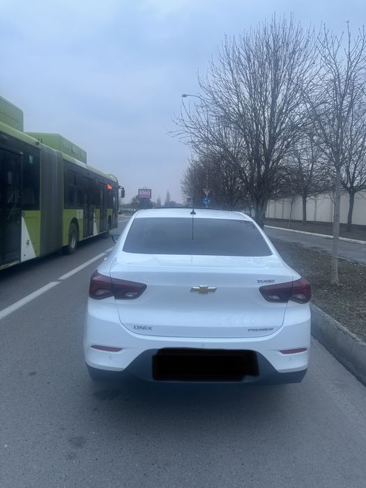 Onix premier 2 6+ tozza 2024