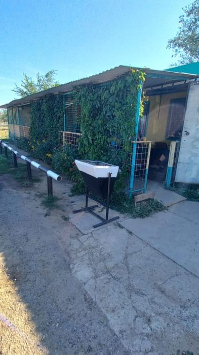 Продается действующее кафе с хорошим доходом