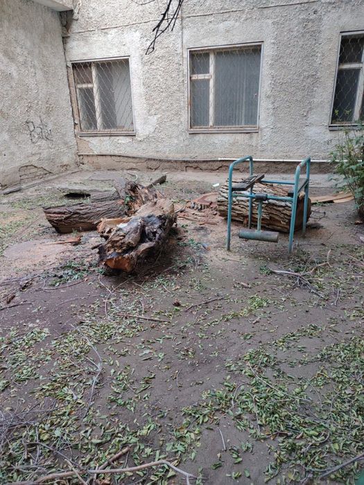 Дрова.самовывоз.даром