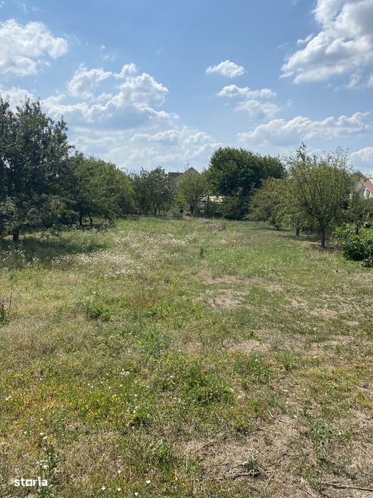 Teren intravilan in Gheraiesti, Bacau