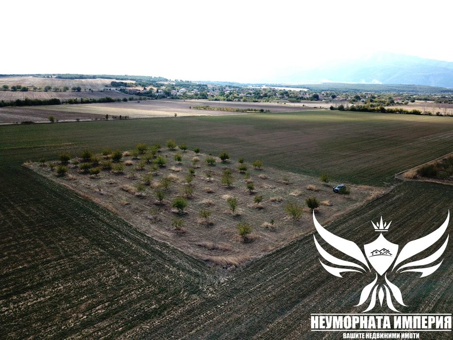 Продавам орехово градина 6650кв.м. в село Козаново