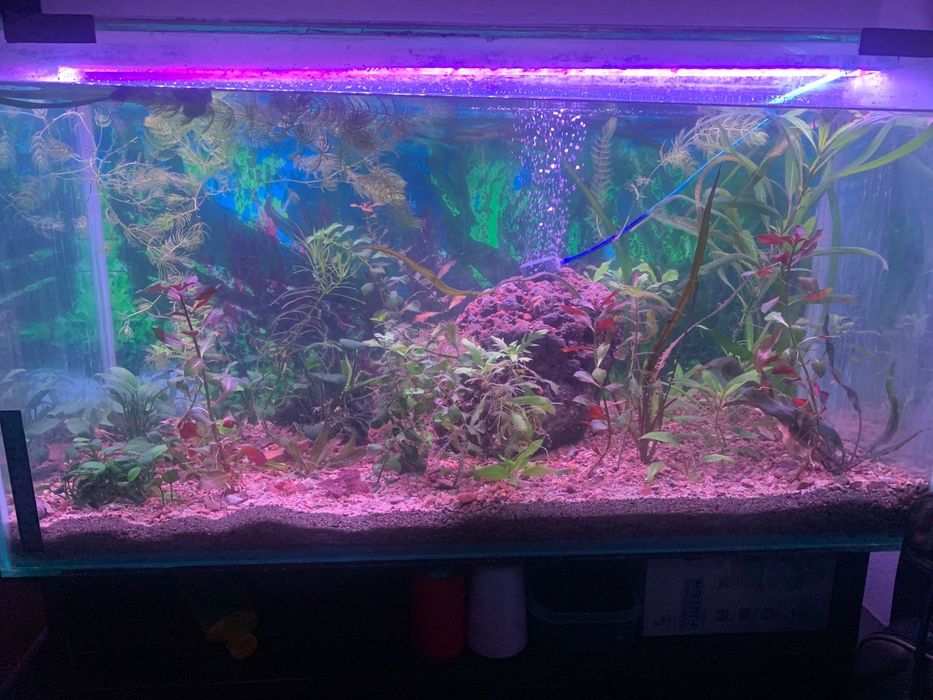 Продам аквариум 140л