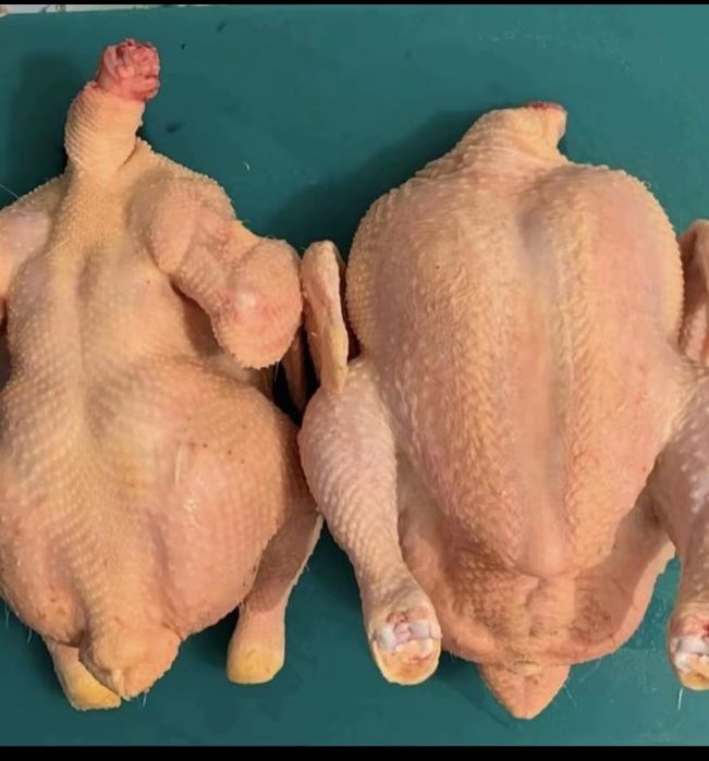 Мясо курей резаных