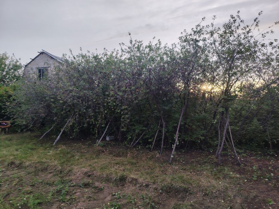 Продам дачу сад Березка