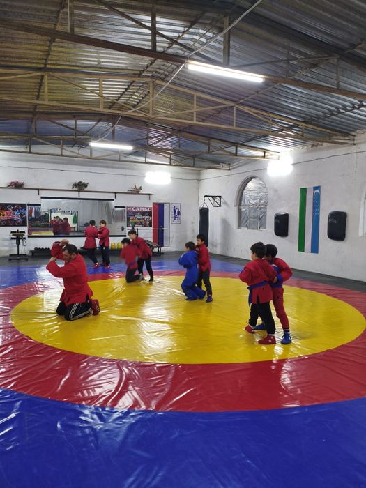 Набор в группу по Боевому Самбо (  техники Бокс , Кикбокс , Борьба )