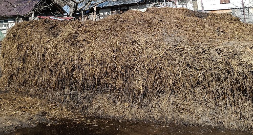 Gunoi de vacă de vânzare